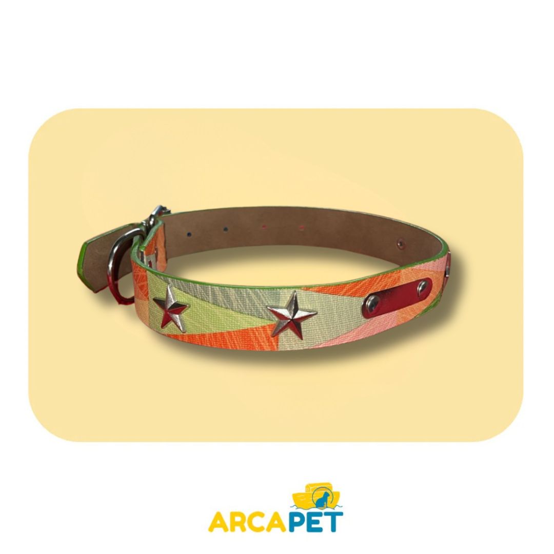 Collar Perro Tachas Estrellas