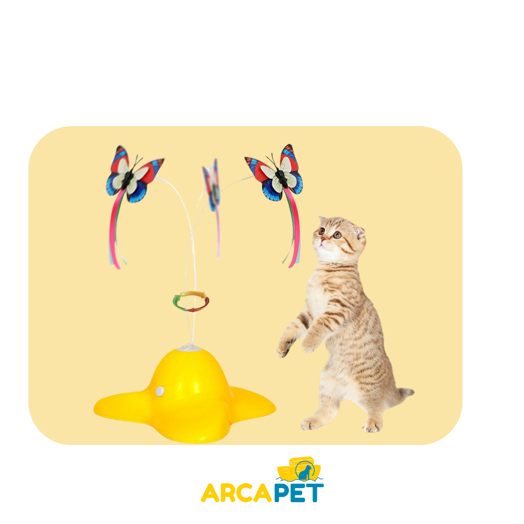 Juguete interactivo Mariposa 360°