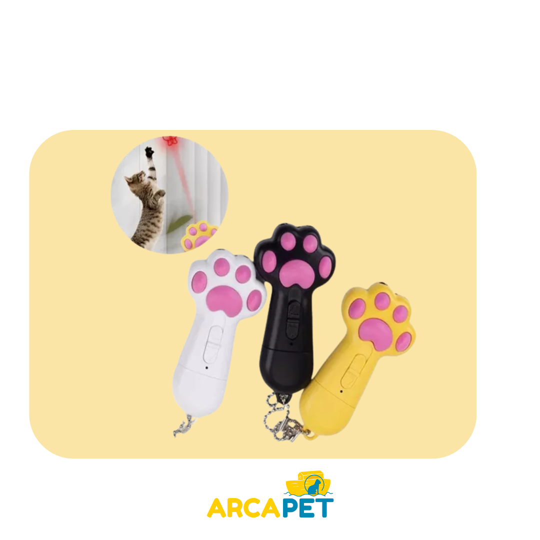 Laser Para Gato con Pendrive