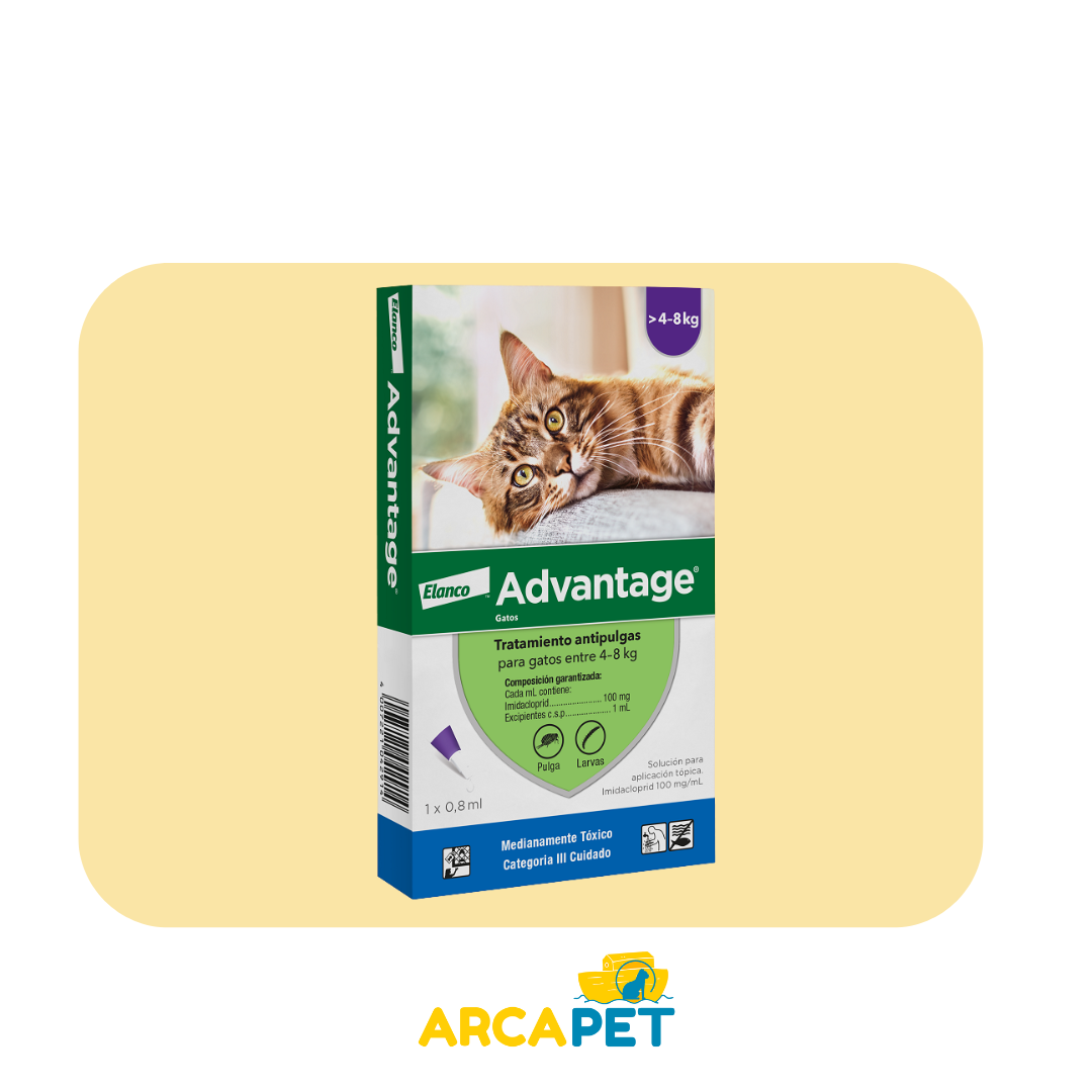 Pipeta Advantage Antiparasitaria Externa para Gatos de 4 a 8 KG
