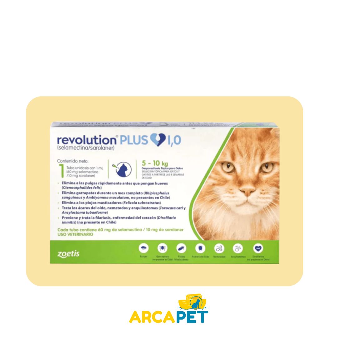 Pipeta Revolution Plus Gato 5 a 10 kg
