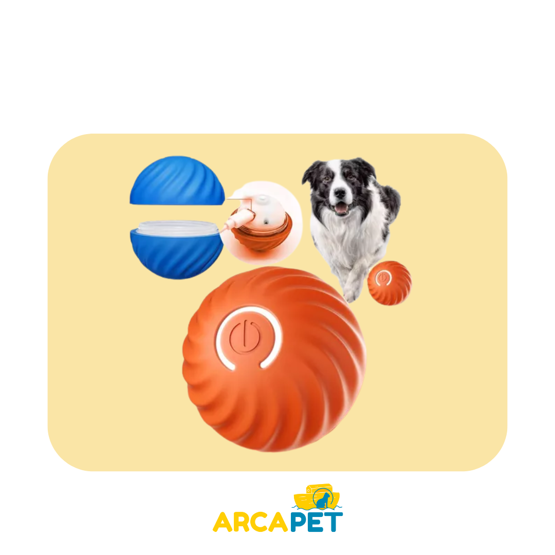 Pelota Inteligente Para Perros
