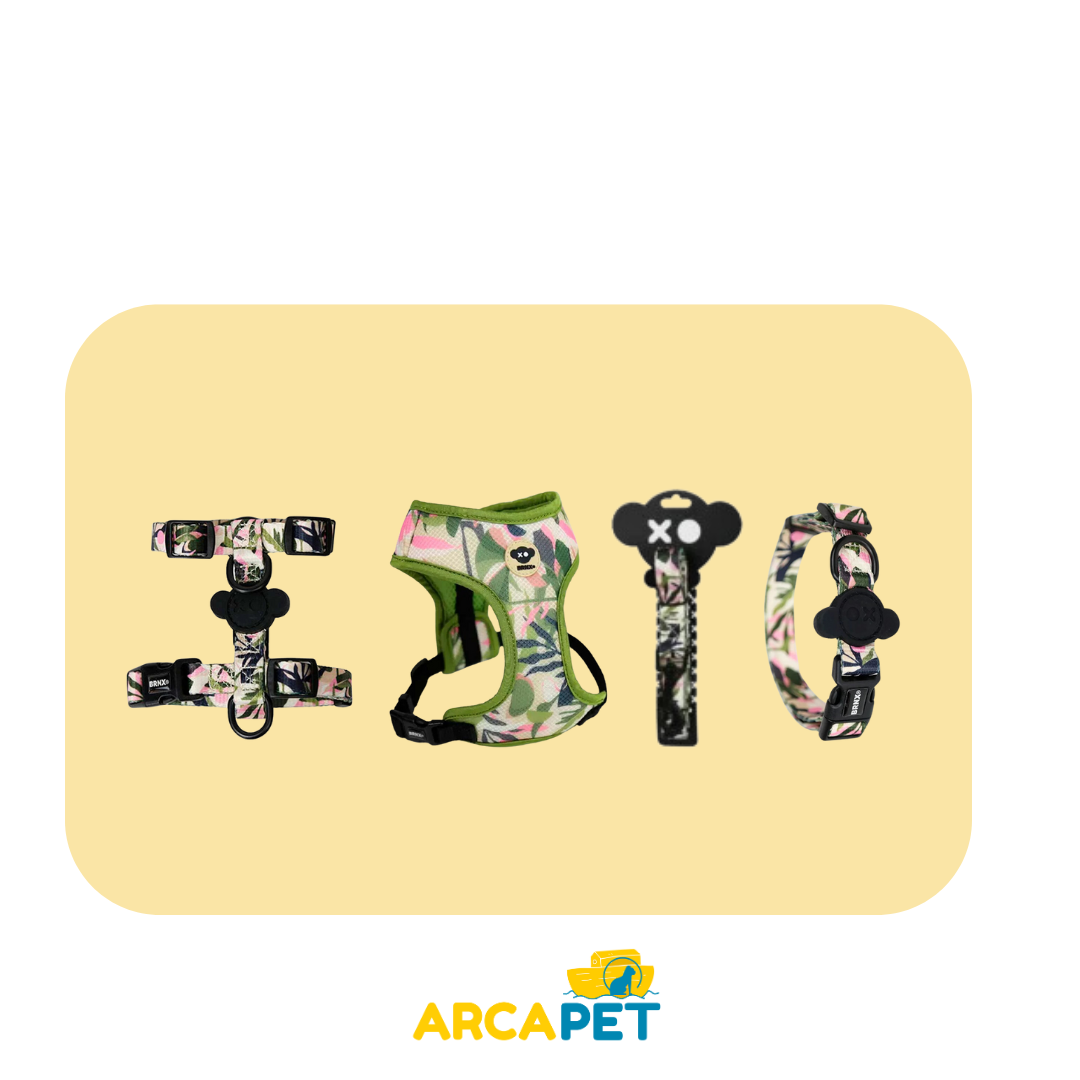 Arnes Pack BRNX correa y collar talla M