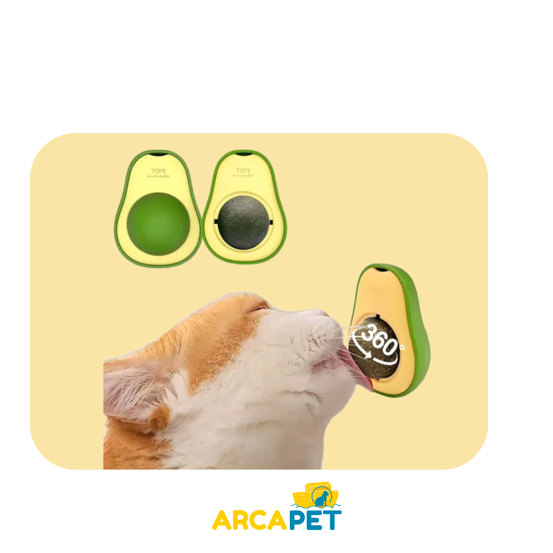 Palta Con Hierva Gatera