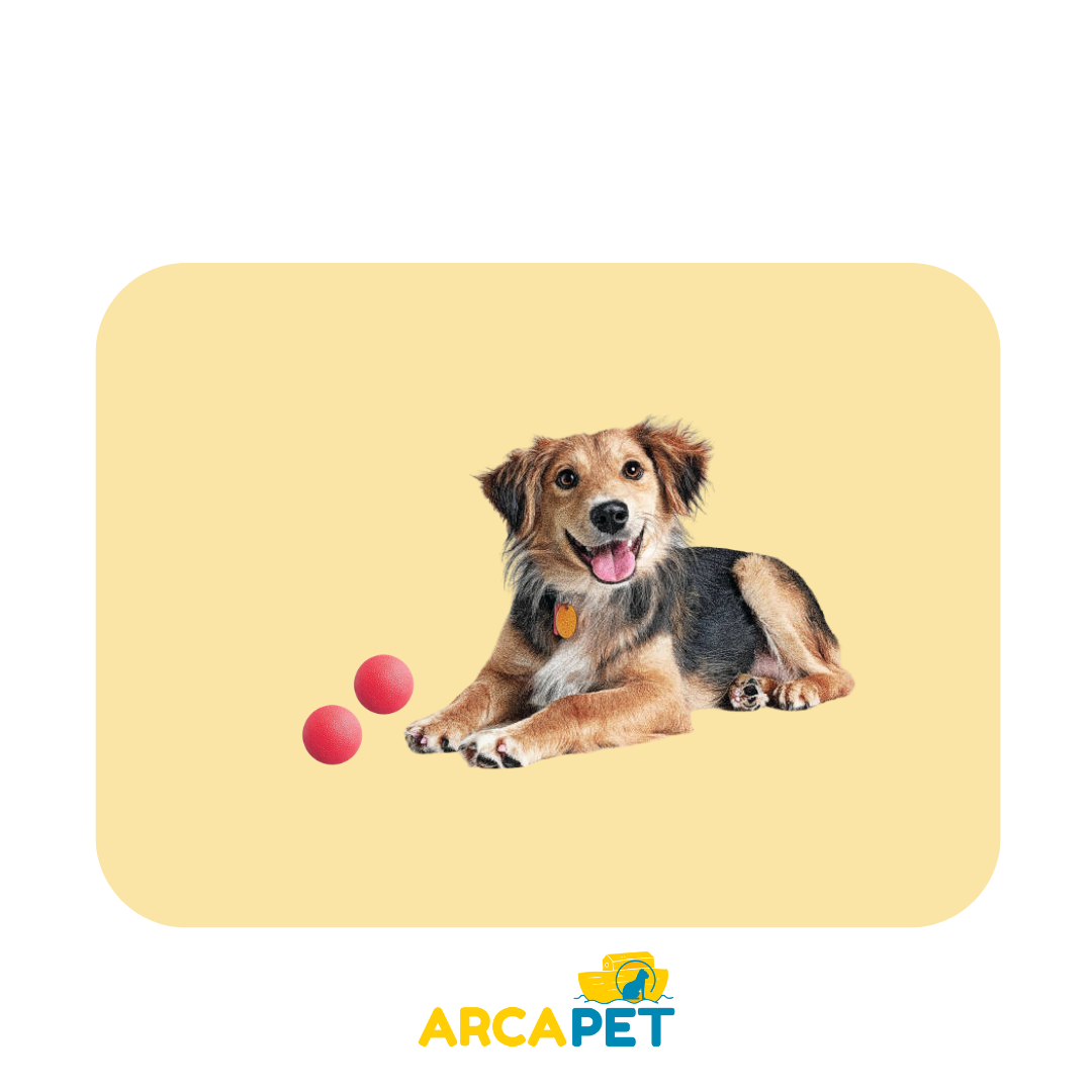 Pack de 2 Mini pelotas Duras