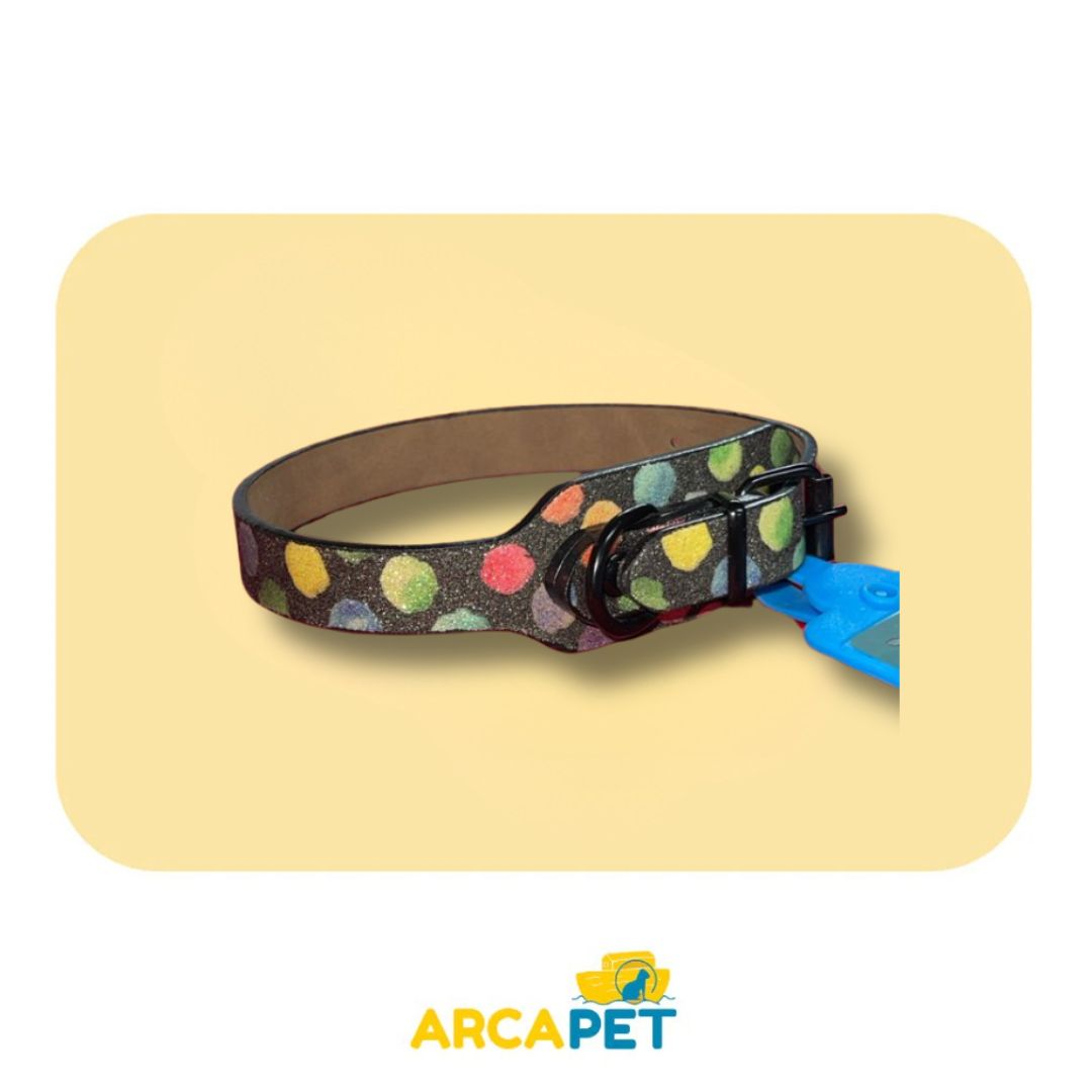 Collar Circulo de colores