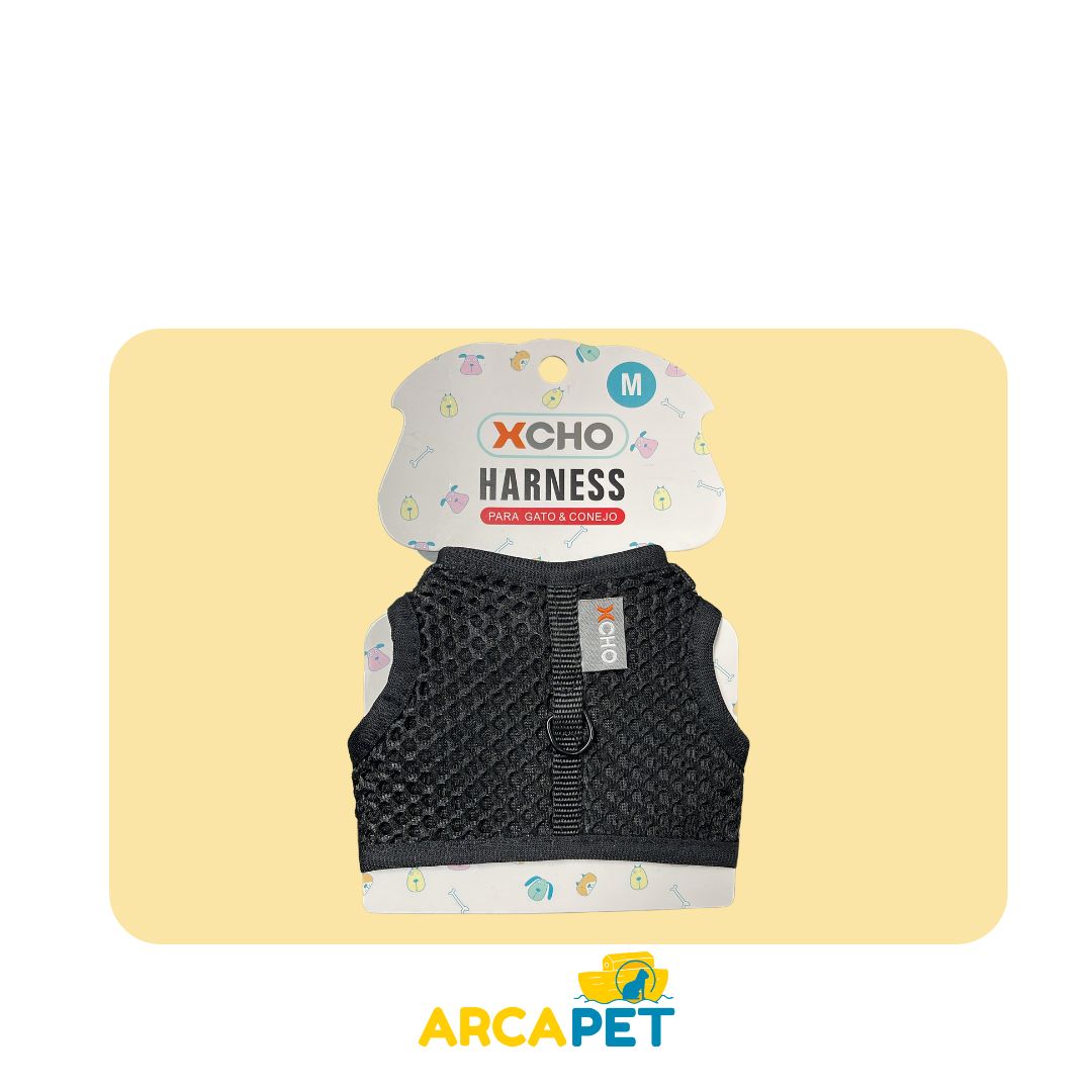 Arnes Xcho Talla M