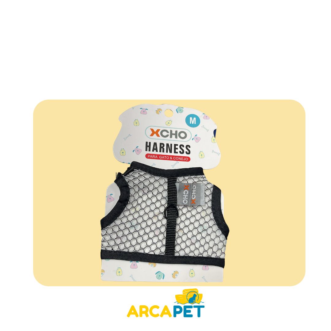 Arnes Xcho Talla M