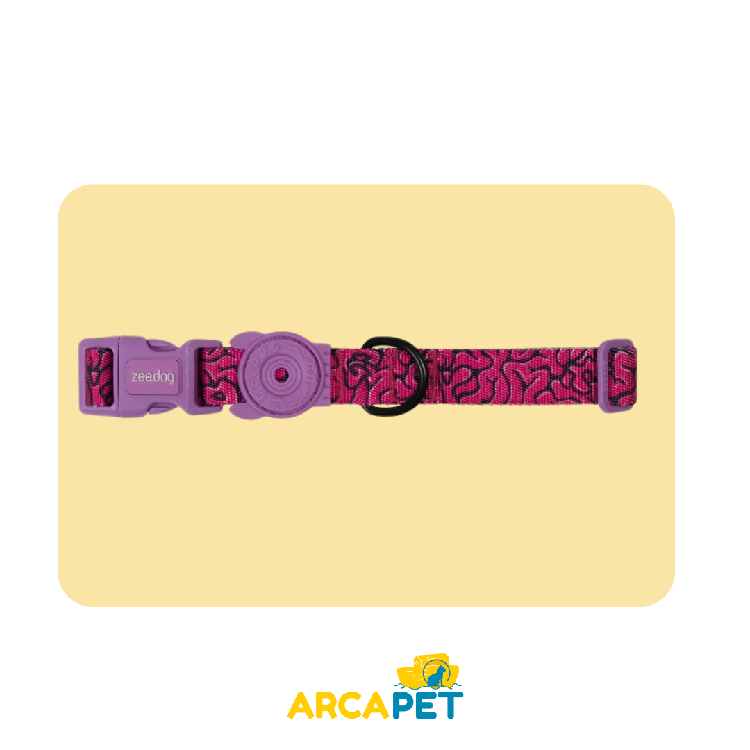 Zee Dog Collar Lords of Zee Town Brain M