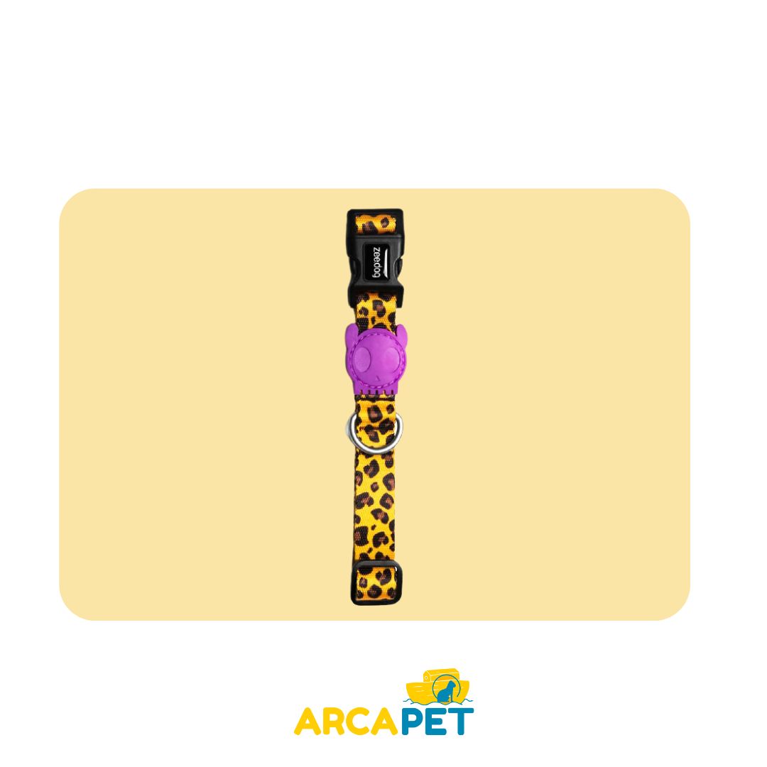 Collar Zee Dog Honey