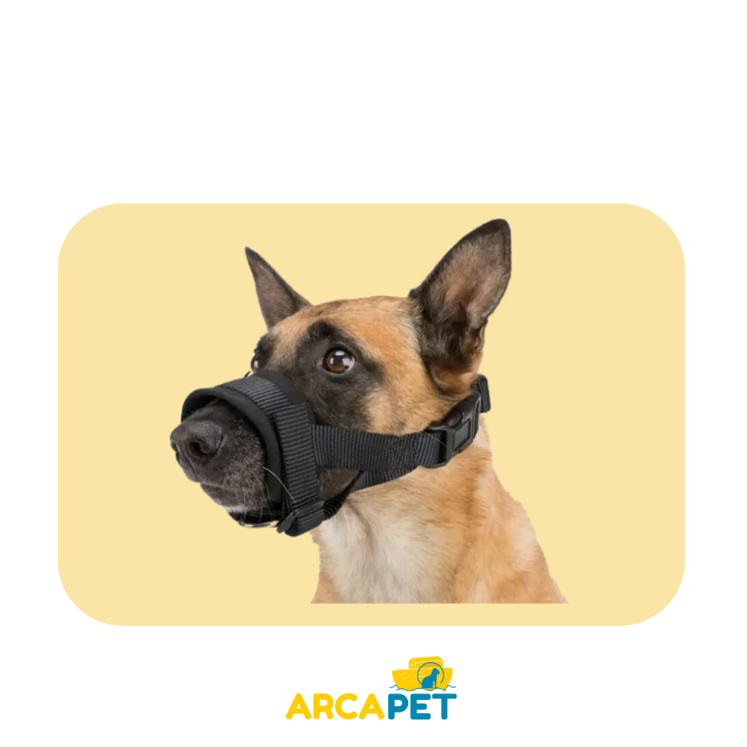 Bozal Buen amigo Talla L