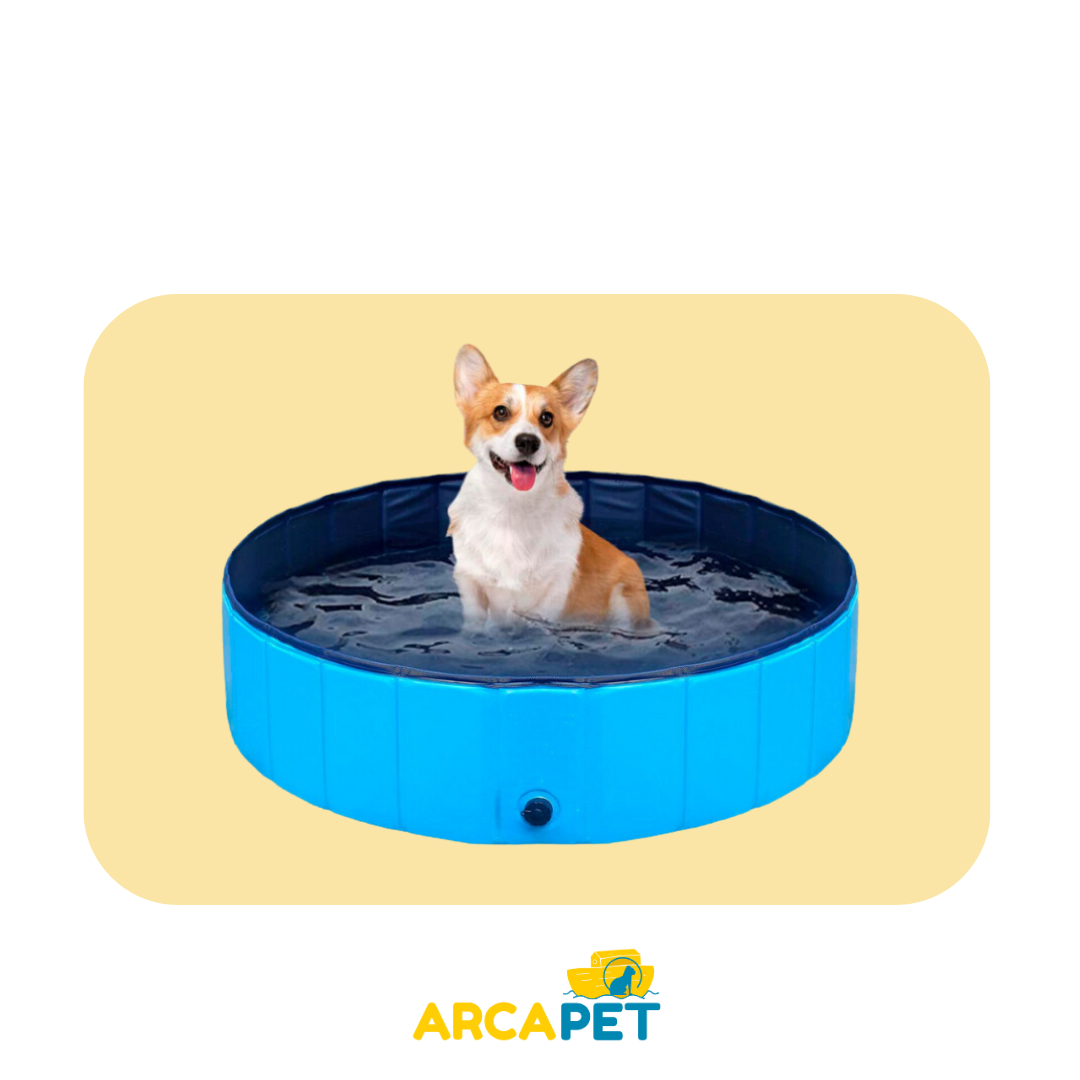 Piscina De Mascotas Arca 120D X 30H Cms