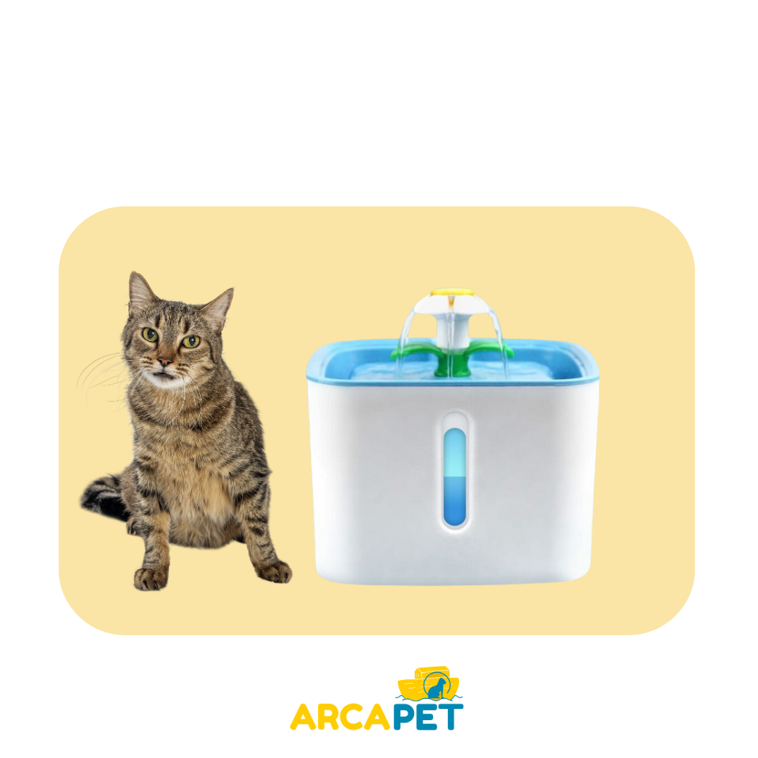 Fuente De Agua Flor Cuadrada 2.5 L