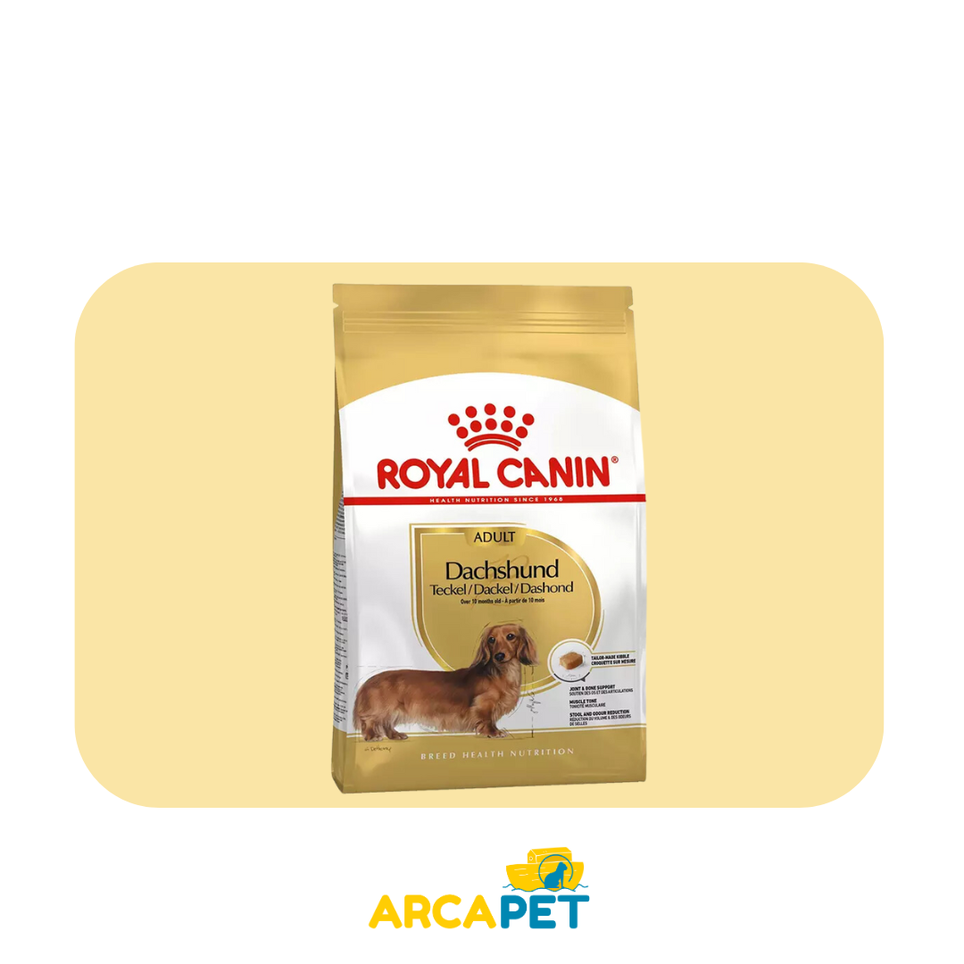 Alimento Royal Canin Dachshund adult 2.5 kg