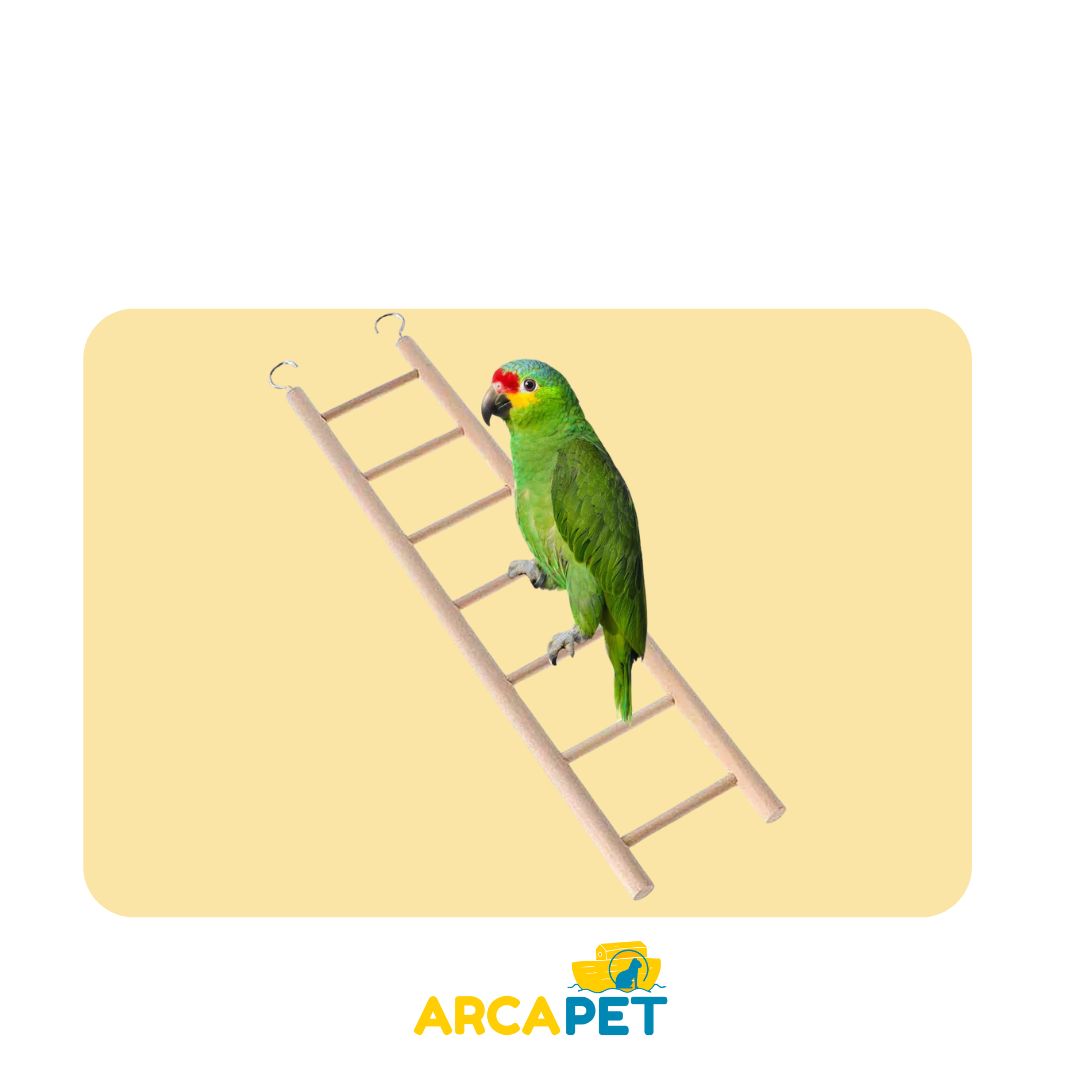 Escalera Madera Living World para aves