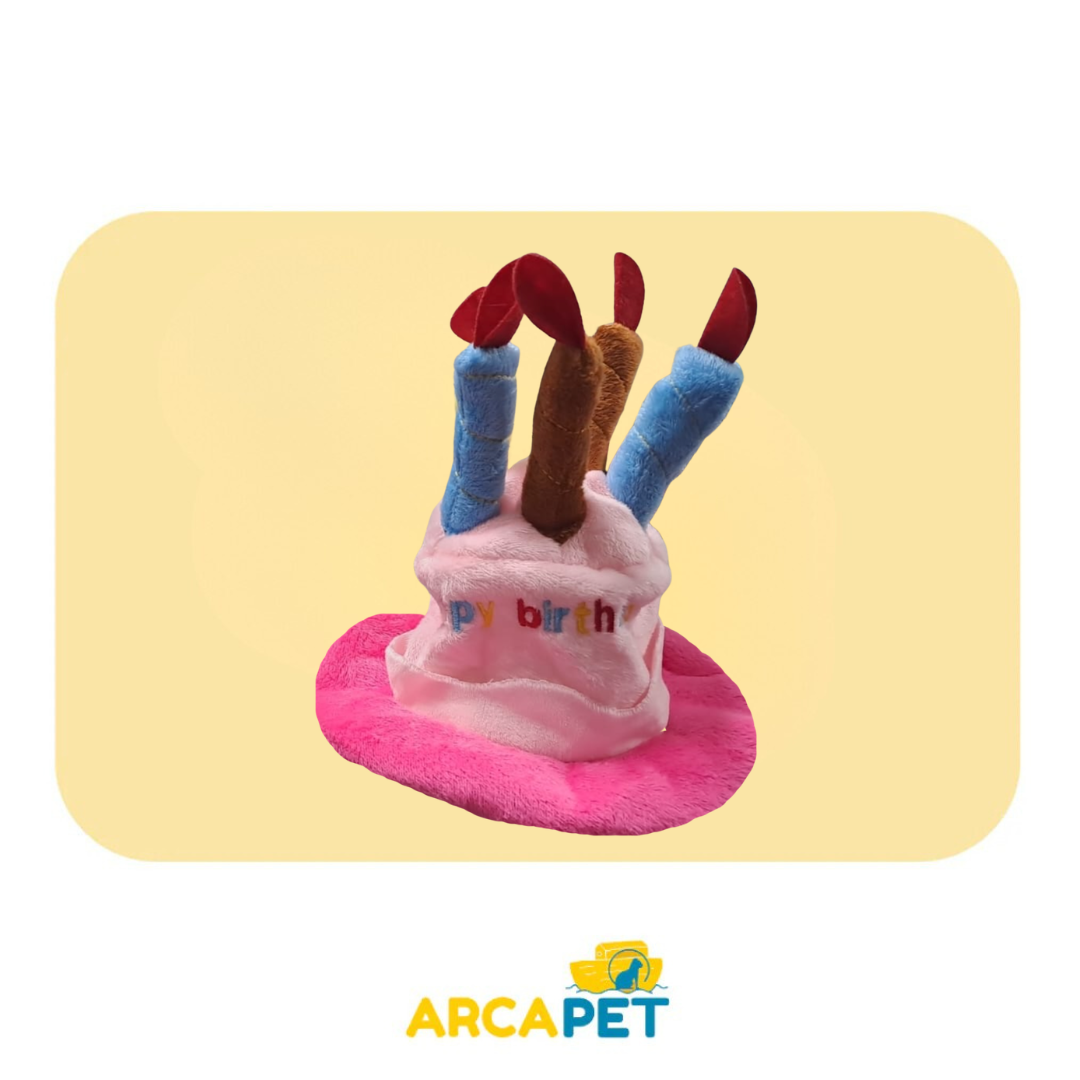 Gorro de Cumpleaños