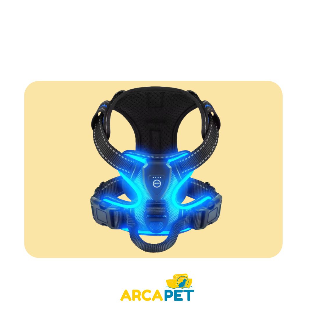Arnes Con Luz Talla M