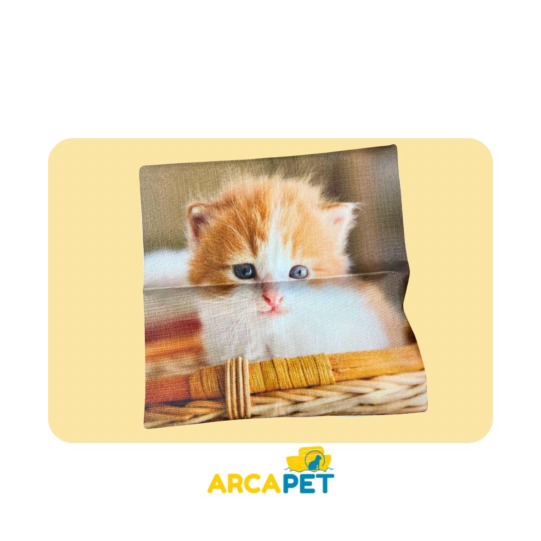Funda Para Cojines Diseños Mascotas gatos