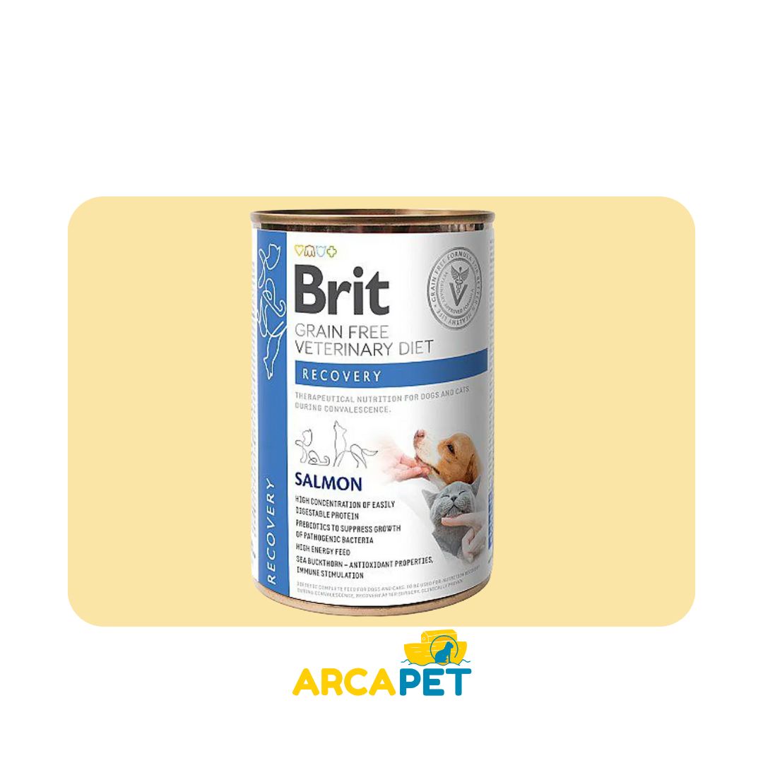 Lata Brit VD Dog Recovery 400Gr