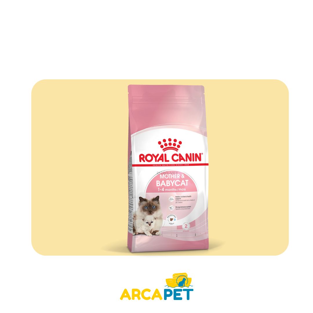 Mother y Babycat Royal Canin 1.5 kg