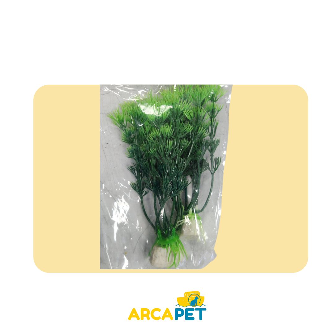 Plantas Decorativas Acuarios