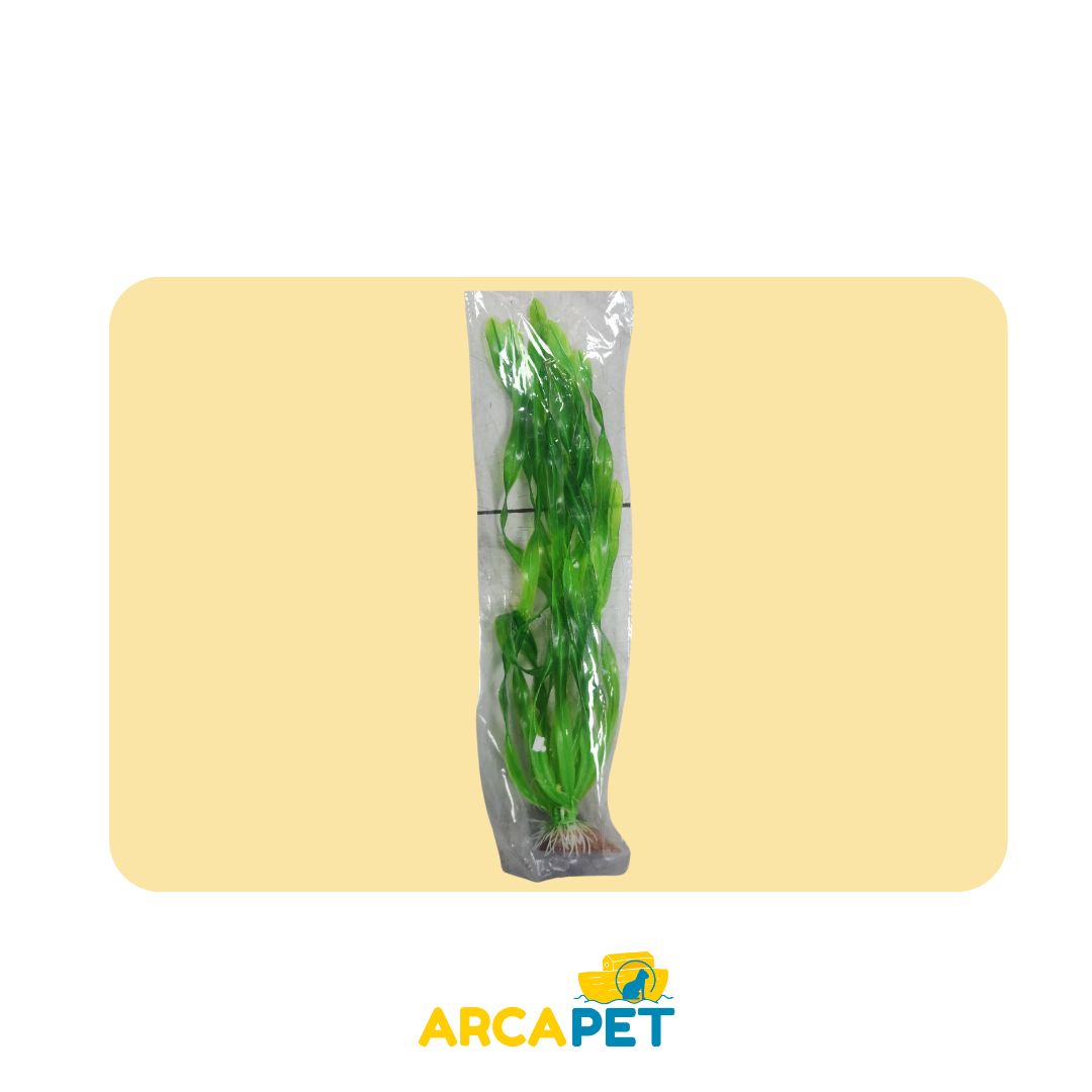 Plantas Decorativas Acuarios