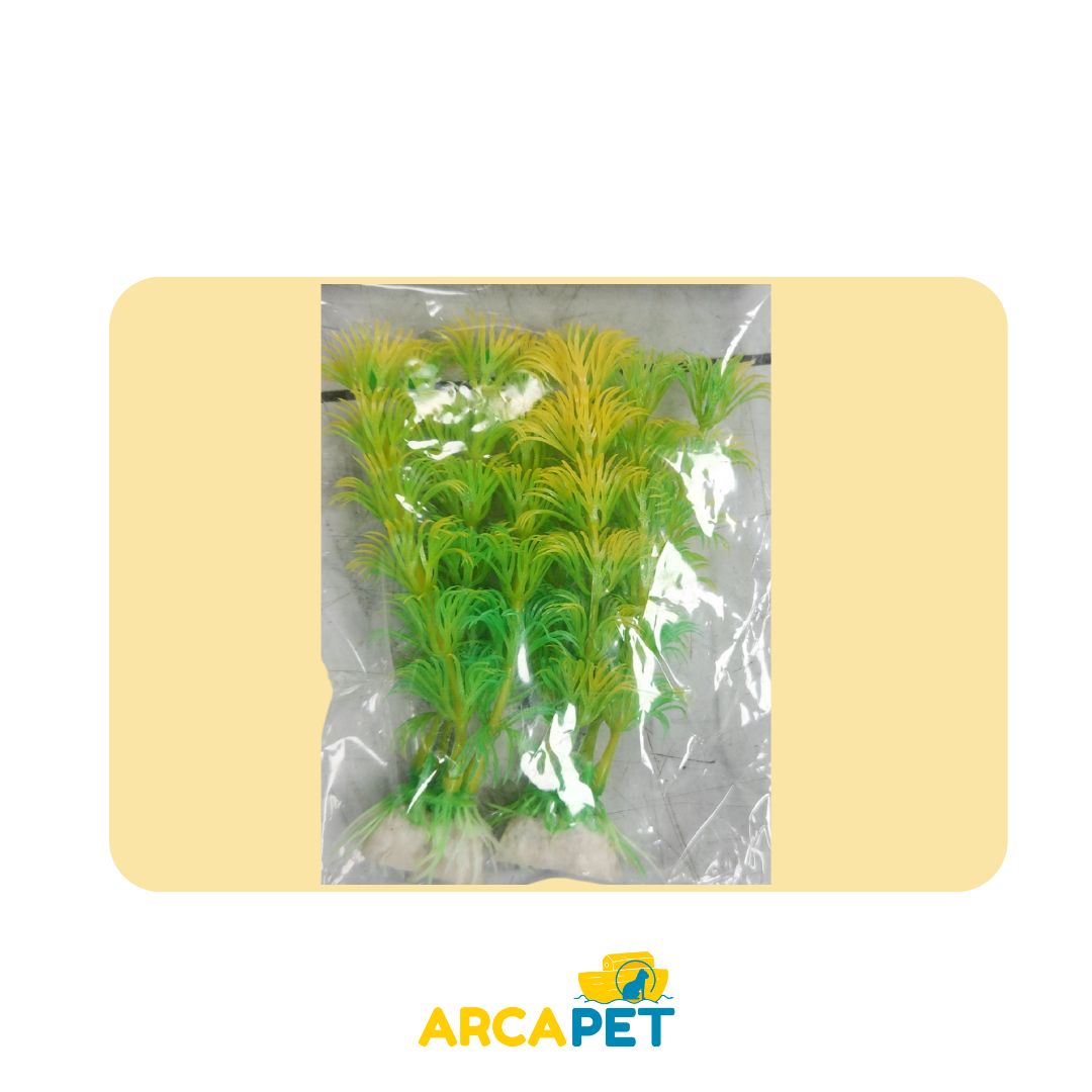 Plantas Decorativas Acuarios