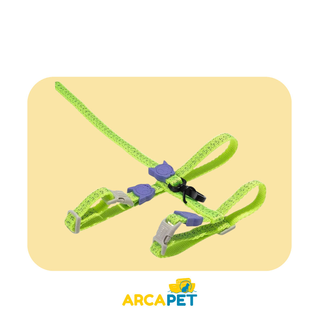 Harness Zee Cat Nox Lumen Reflective