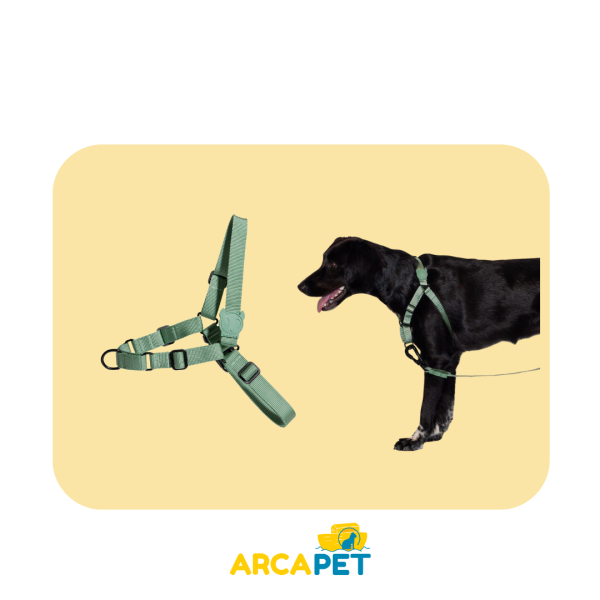 Harness Zee Dog Zeedog Soft Walk Army Green S