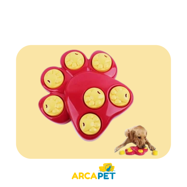 Dispensador Interactivo Didactico