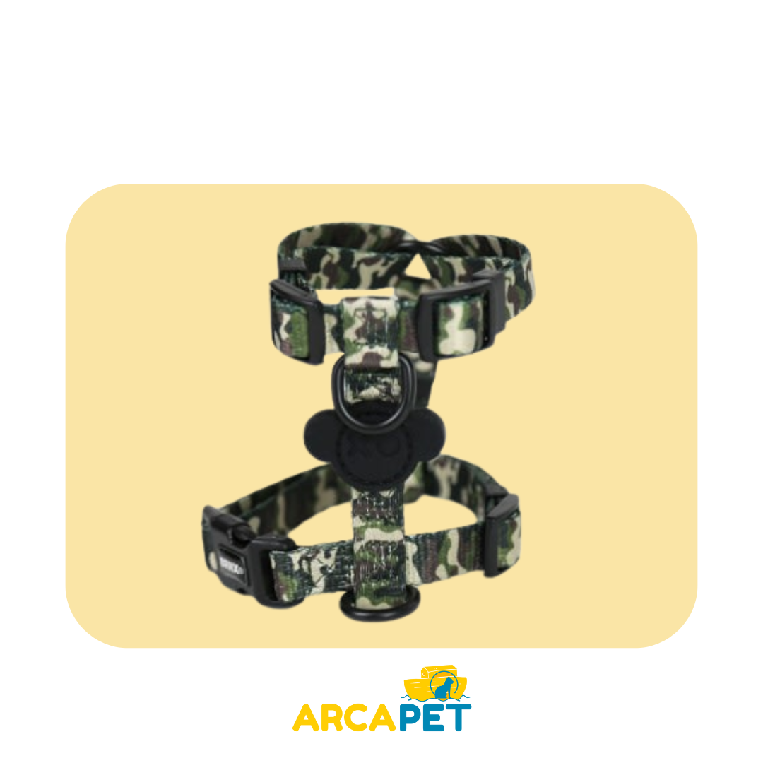 Arnes H Talla M Modelo BRNX Militar