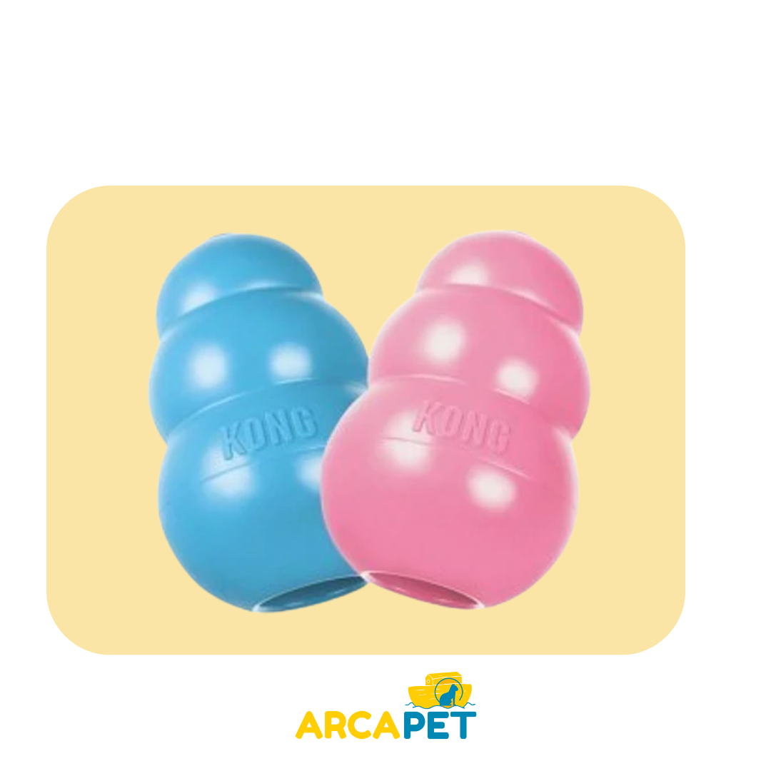 Kong Puppy