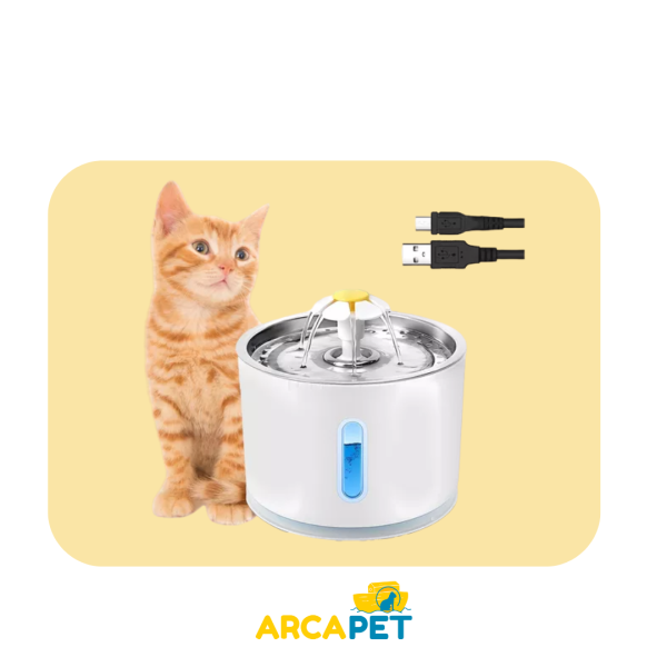 Fuente De Agua Flor Redonda China 3L