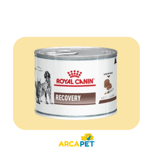 Lata Royal Canin Recovery 145 gr