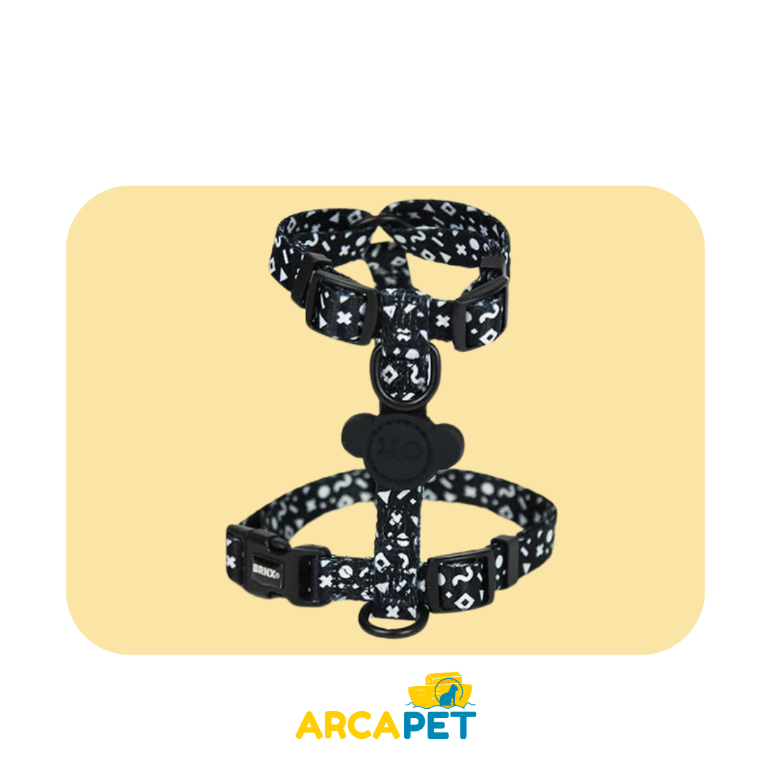 Arnes H Talla M Modelo BRNX Doodle