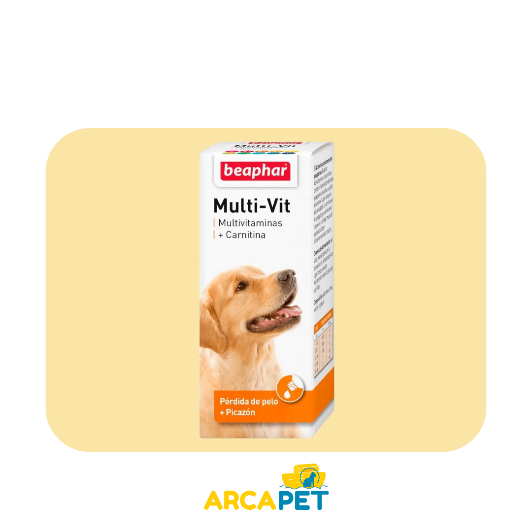 Laveta + Carnitina Perros 50 ml