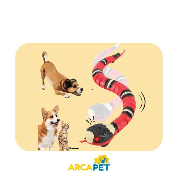 Juguete Interactivo De Serpiente