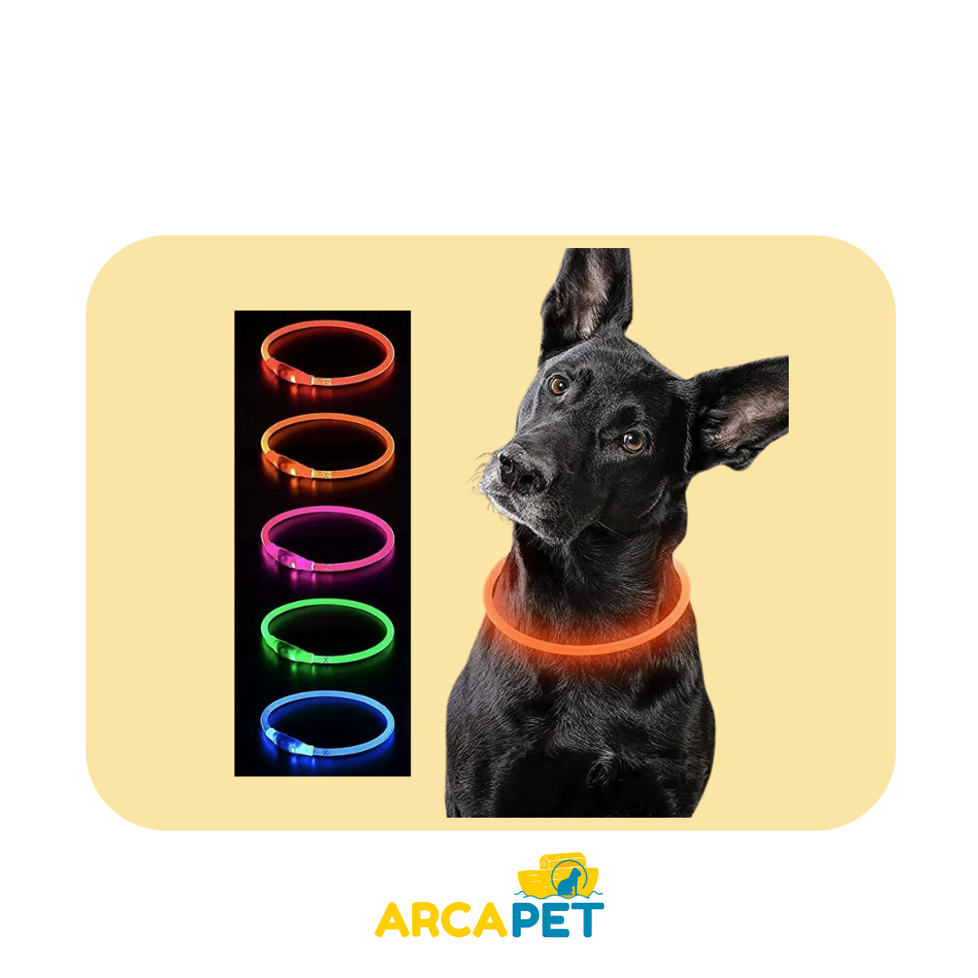 Collar con Luz Grande