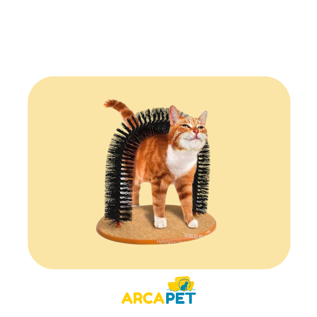 Arco Purrfect para gatos