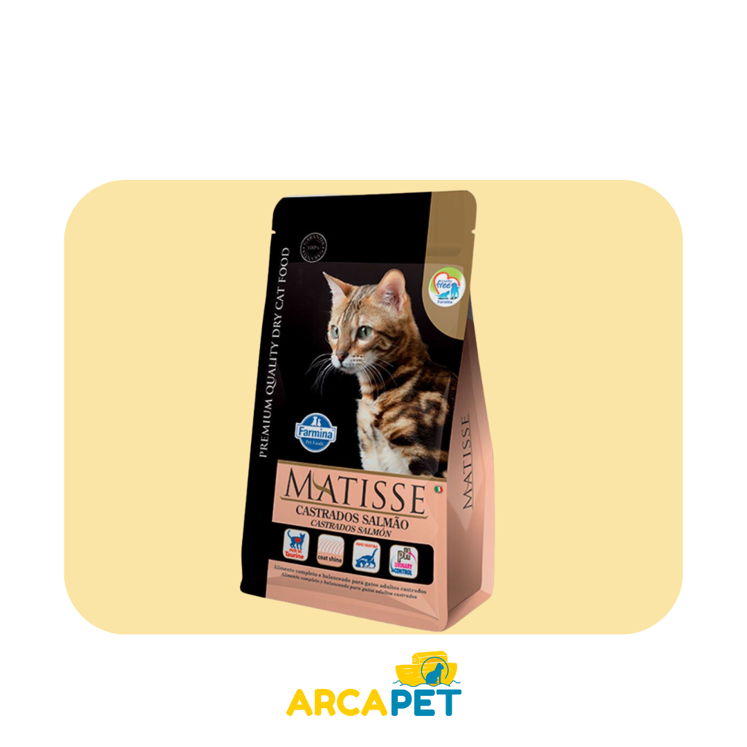 Matisse Gato Adulto Castrado de Salmon
