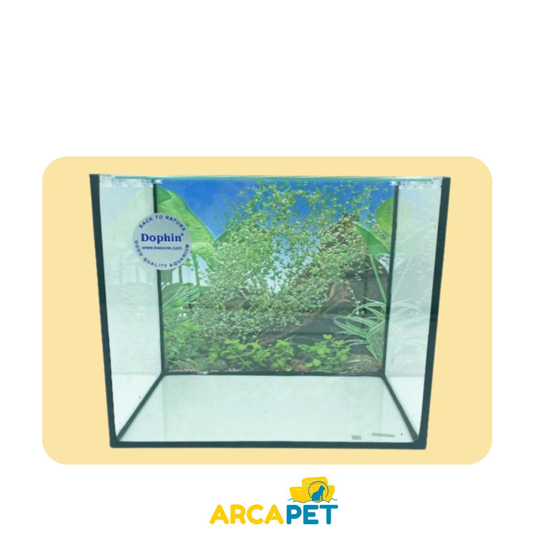 Acuario De Vidrio 43L 45X30X32 Cm