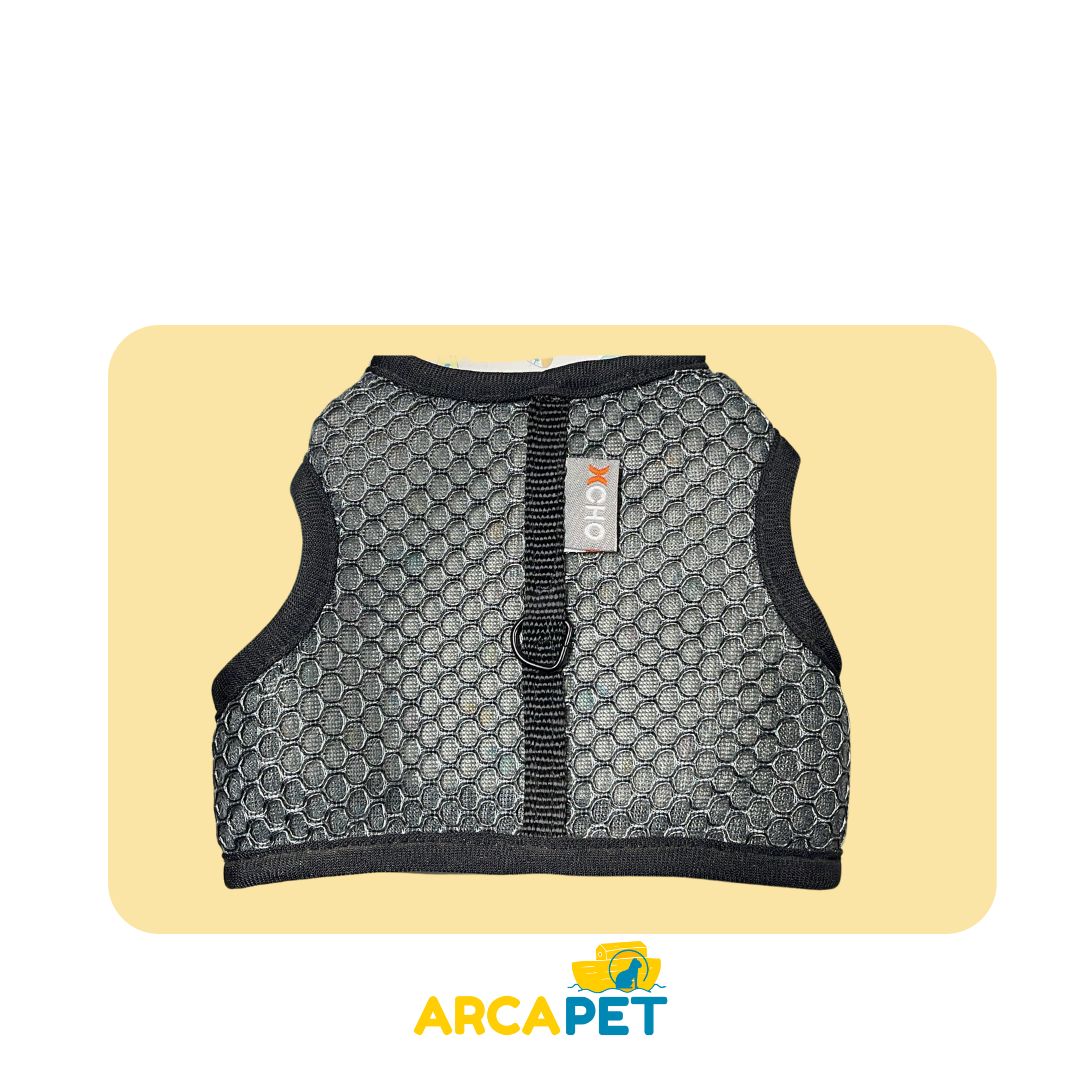 Arnes Xcho Talla M