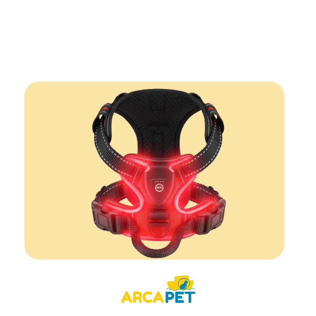 Arnes Con Luz Talla M