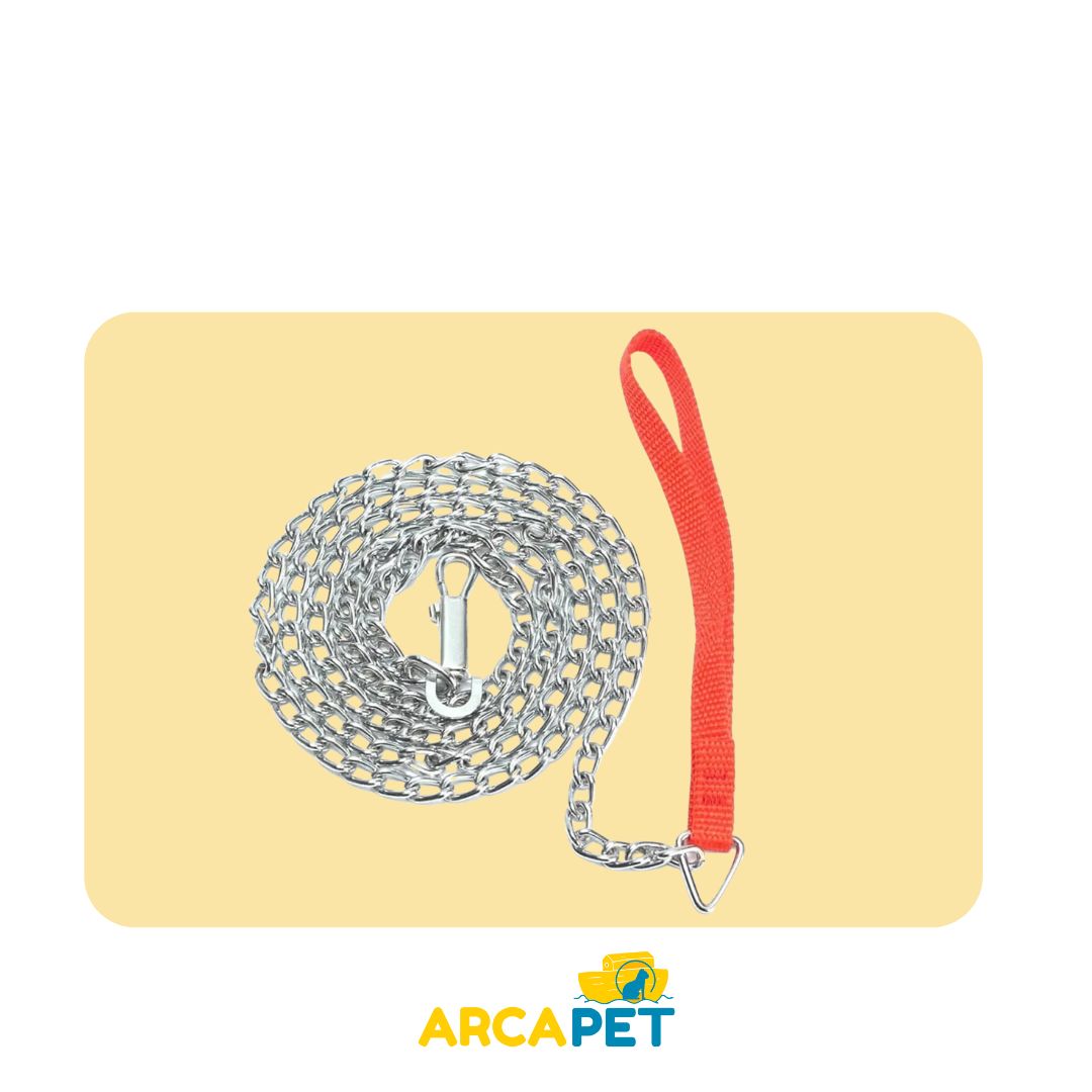 Correa Cadena Gruesa