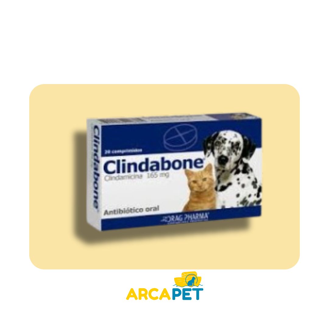 Clindabone Clindamicina 165 mg Caja 20 comprimidos