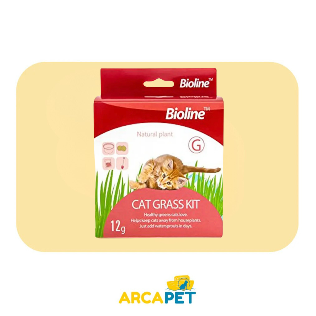 Semilla Hierba Gatera 12g