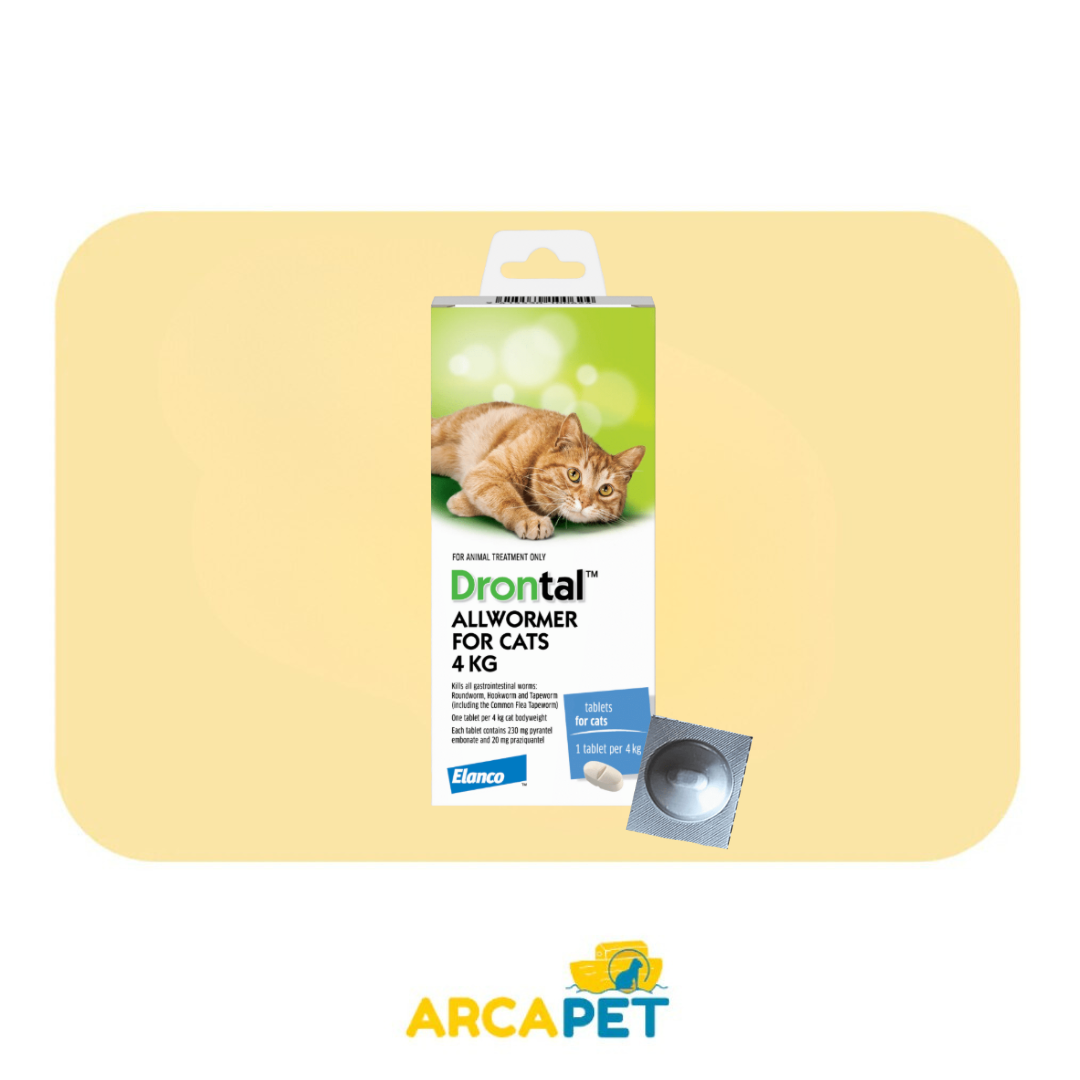 Antiparasitario Drontal Cats 4kg 1 comprimido