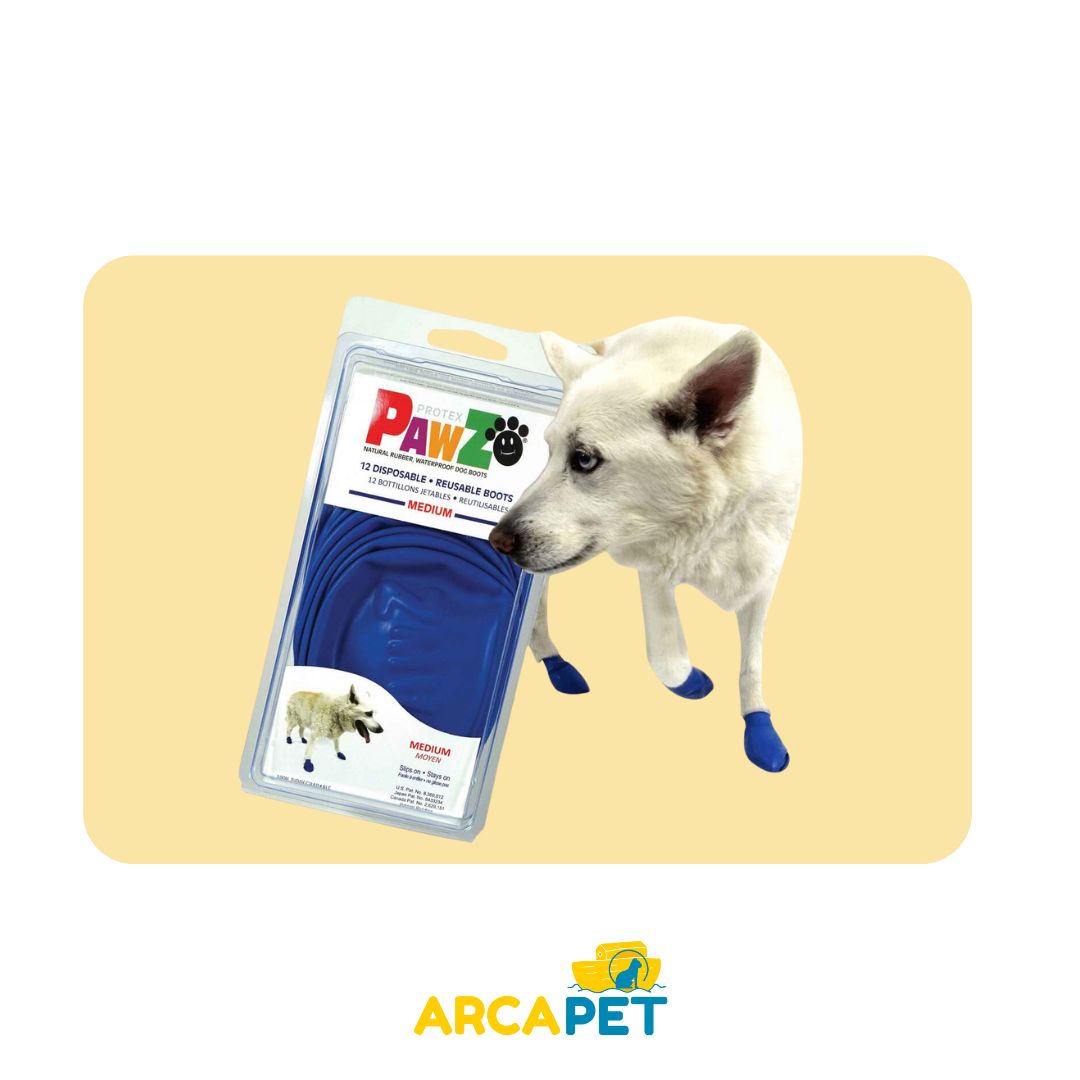 Zapatos Pawz Bota Azul Talla M