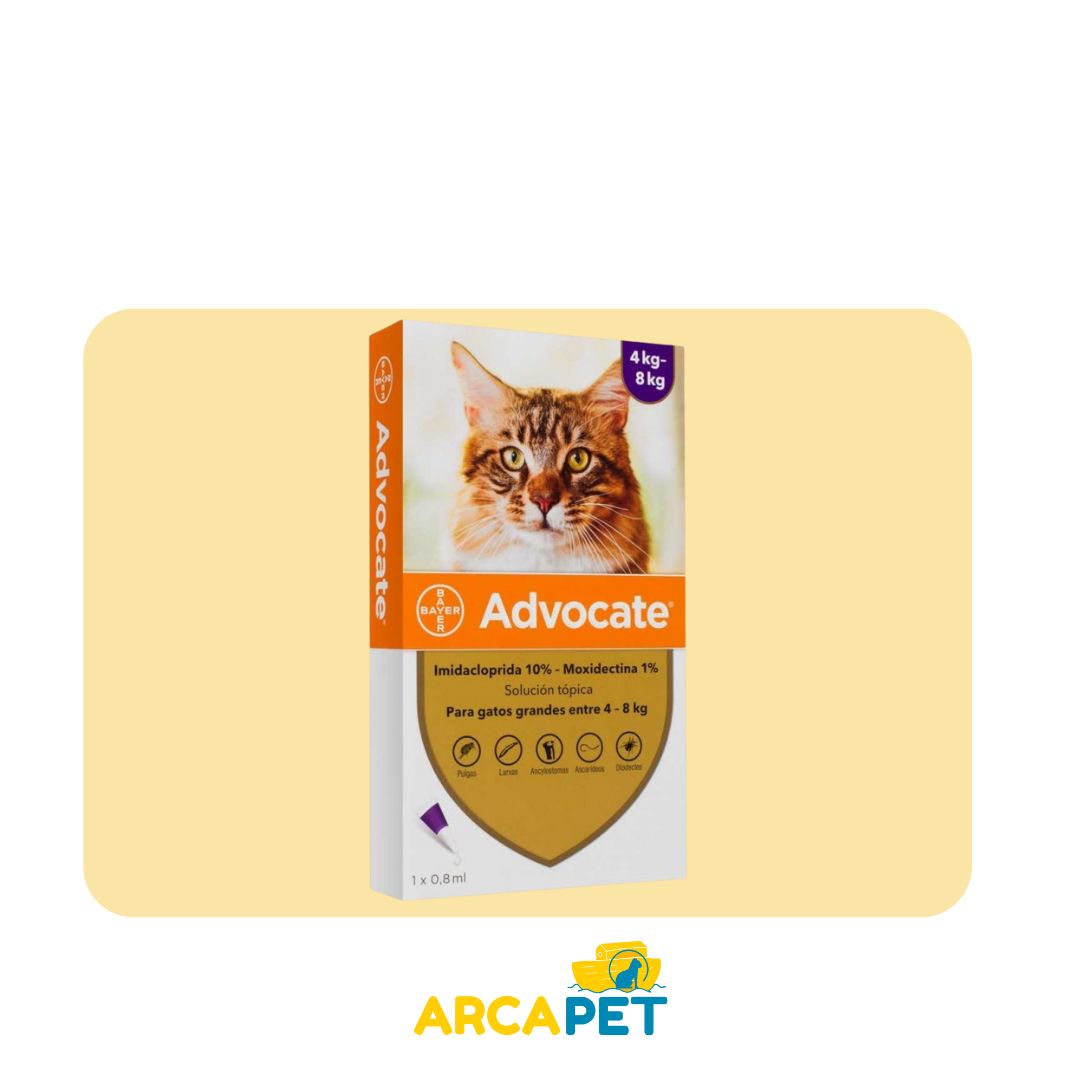 Pipeta Advocate Gatos 1 Un 4 a 8 Kg