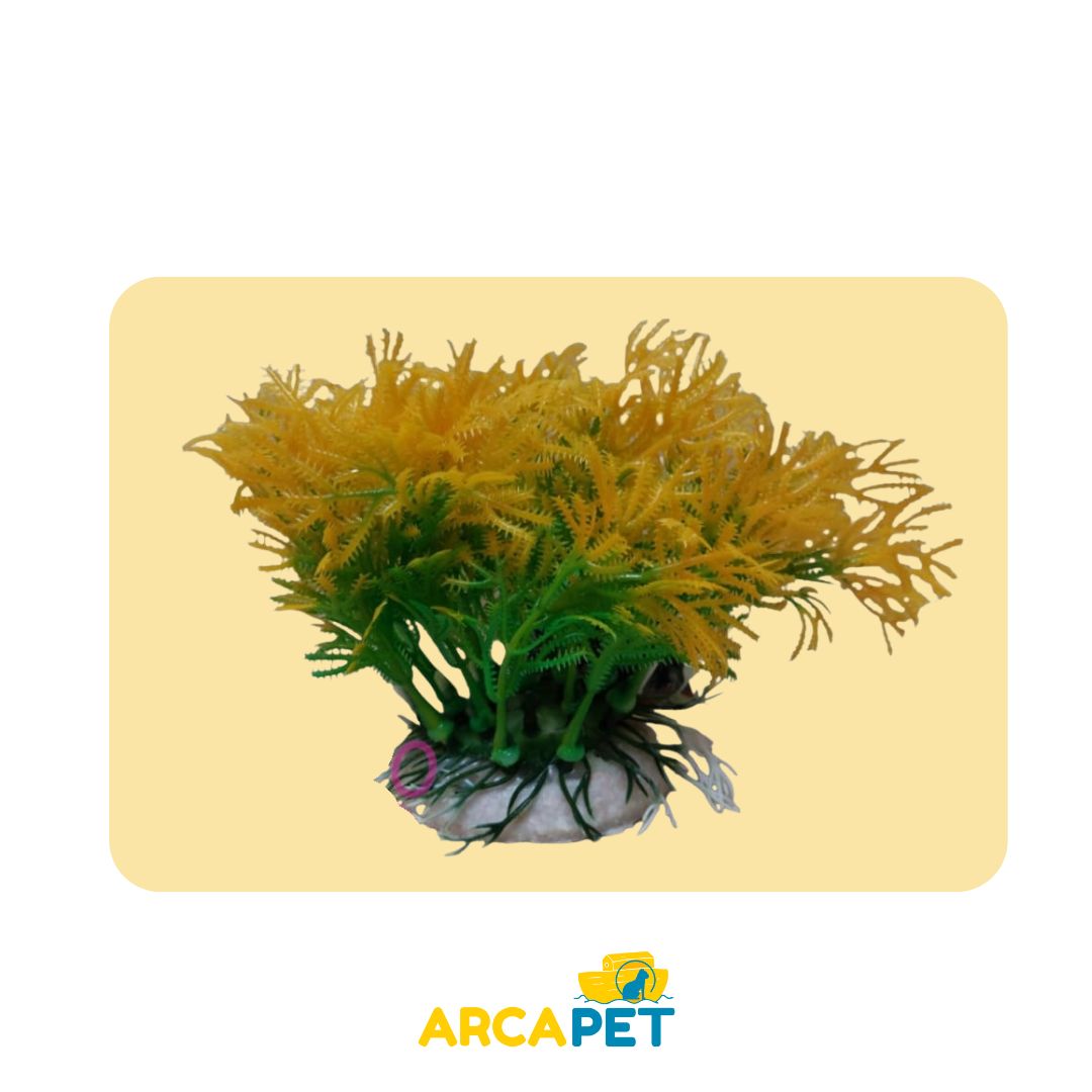 Plantas Decorativas Acuarios